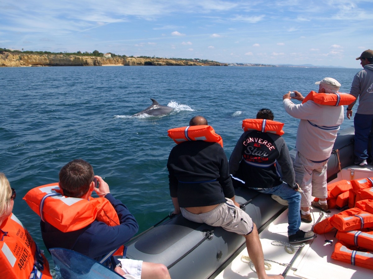 Algarve Seafaris